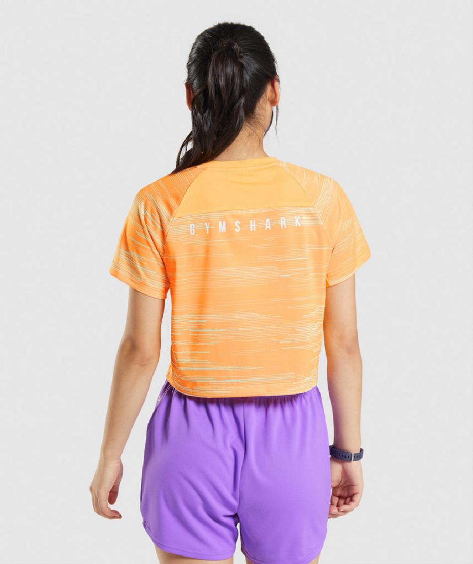 T Shirts Gymshark Deporte Midi Mujer Naranjas | CO 2280YXF